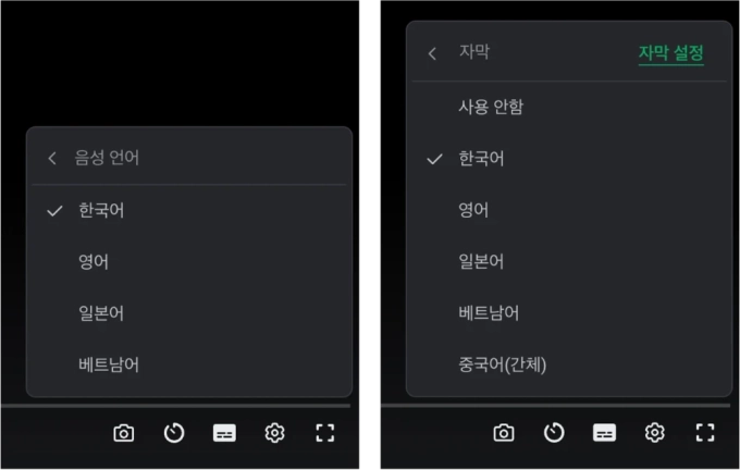 원하는 언어와 자막으로 선택할 수 있다.